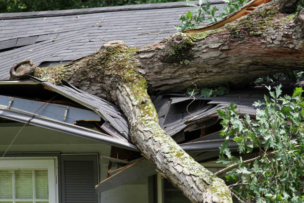 A large oak tree has fallen onto a residential house, causing extensive damage to the roof and structural integrity, illustrating the urgent need for preventive tree care and storm preparedness.